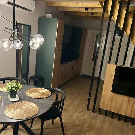 度假居 Bursztyn *