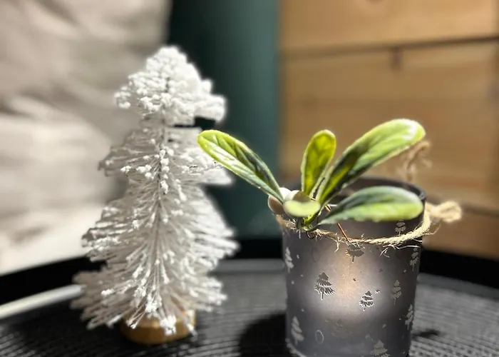 Dom wakacyjny Bursztyn Mrzeżyno